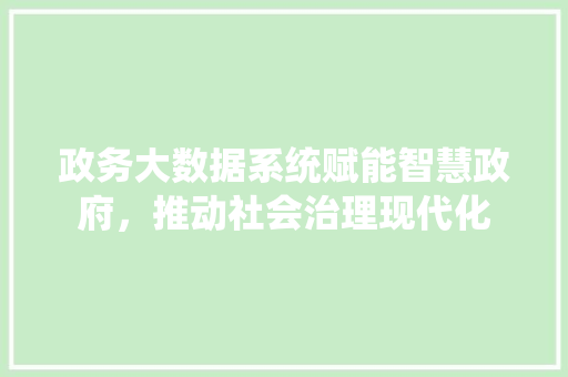 政务大数据系统赋能智慧政府，推动社会治理现代化
