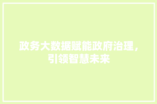 政务大数据赋能政府治理，引领智慧未来