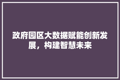 政府园区大数据赋能创新发展，构建智慧未来