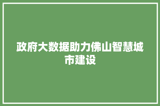 政府大数据助力佛山智慧城市建设