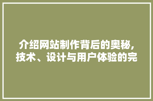 介绍网站制作背后的奥秘,技术、设计与用户体验的完美融合 前端技术