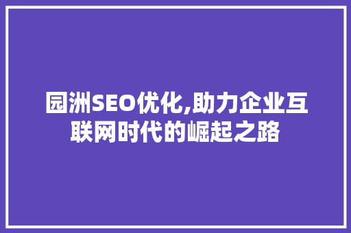 园洲SEO优化,助力企业互联网时代的崛起之路 项目报告