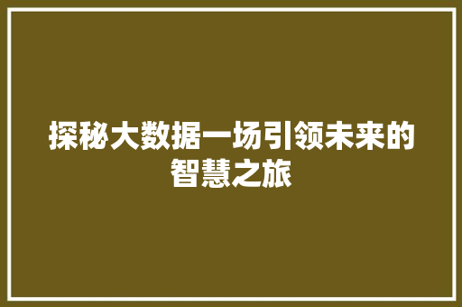探秘大数据一场引领未来的智慧之旅