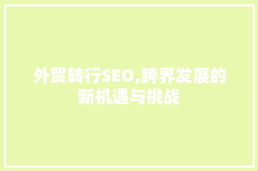 外贸转行SEO,跨界发展的新机遇与挑战 网站建设
