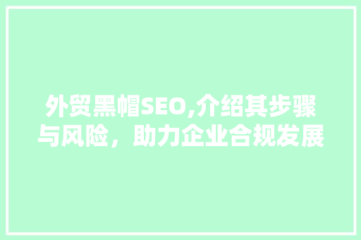 外贸黑帽SEO,介绍其步骤与风险，助力企业合规发展 缓存Redis