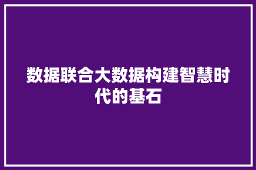 数据联合大数据构建智慧时代的基石