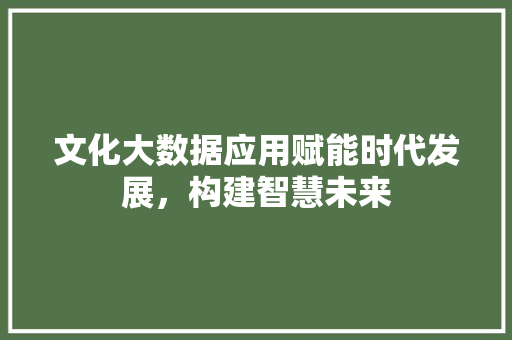 文化大数据应用赋能时代发展，构建智慧未来