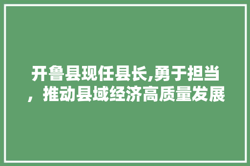 开鲁县现任县长,勇于担当，推动县域经济高质量发展