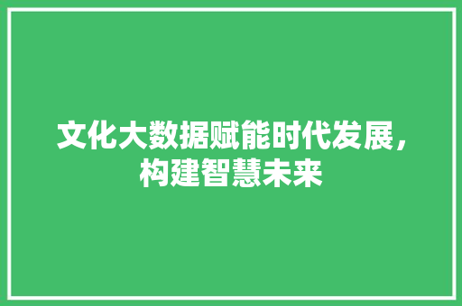 文化大数据赋能时代发展，构建智慧未来