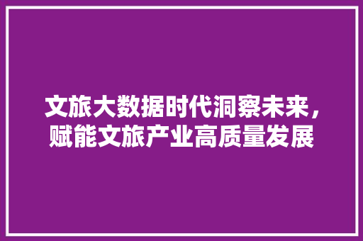 文旅大数据时代洞察未来，赋能文旅产业高质量发展