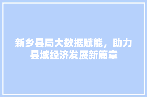新乡县局大数据赋能，助力县域经济发展新篇章