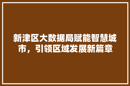 新津区大数据局赋能智慧城市，引领区域发展新篇章