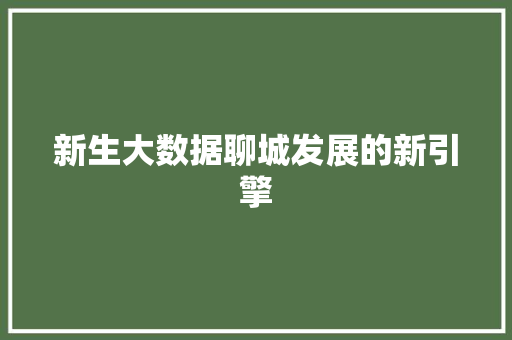 新生大数据聊城发展的新引擎 项目报告