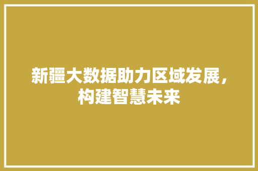 新疆大数据助力区域发展，构建智慧未来