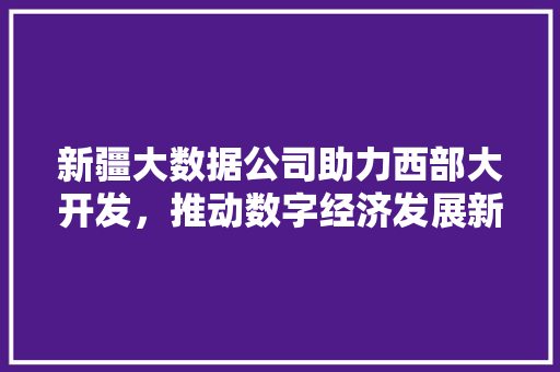 新疆大数据公司助力西部大开发，推动数字经济发展新篇章