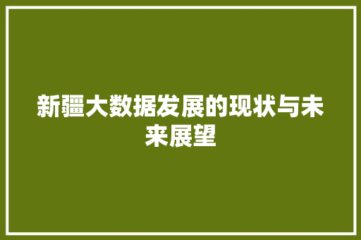 新疆大数据发展的现状与未来展望