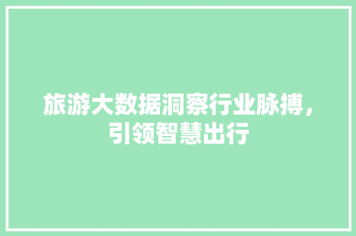 旅游大数据洞察行业脉搏，引领智慧出行