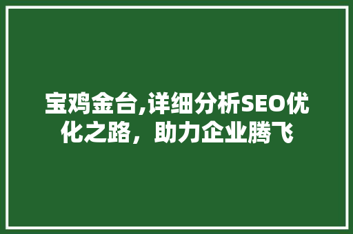 宝鸡金台,详细分析SEO优化之路，助力企业腾飞