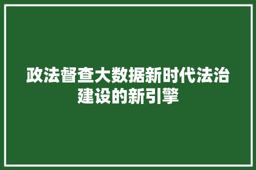 政法督查大数据新时代法治建设的新引擎