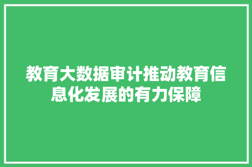 教育大数据审计推动教育信息化发展的有力保障