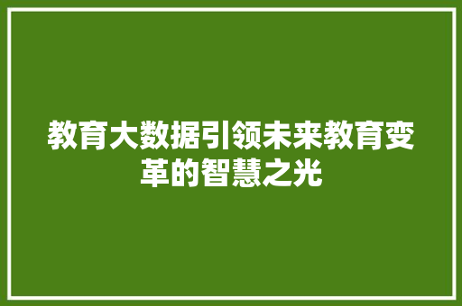 教育大数据引领未来教育变革的智慧之光