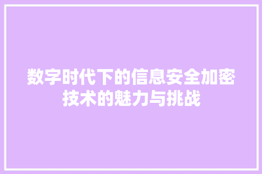 数字时代下的信息安全加密技术的魅力与挑战