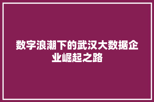 数字浪潮下的武汉大数据企业崛起之路