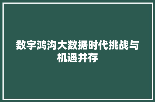 数字鸿沟大数据时代挑战与机遇并存