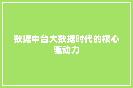 数据中台大数据时代的核心驱动力