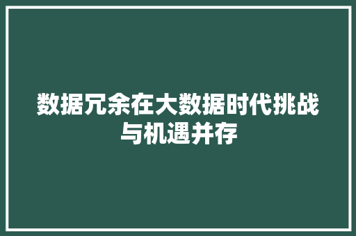 数据冗余在大数据时代挑战与机遇并存