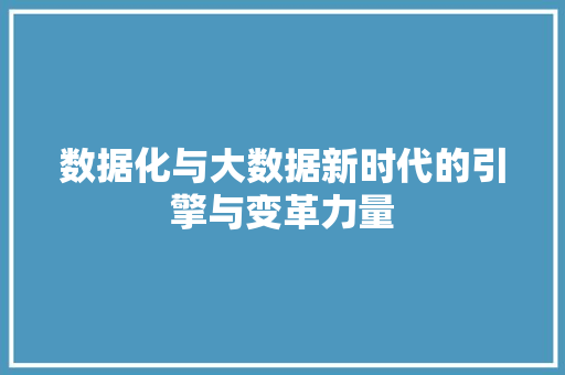 数据化与大数据新时代的引擎与变革力量