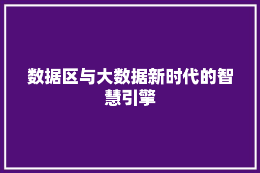 数据区与大数据新时代的智慧引擎