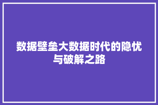 数据壁垒大数据时代的隐忧与破解之路