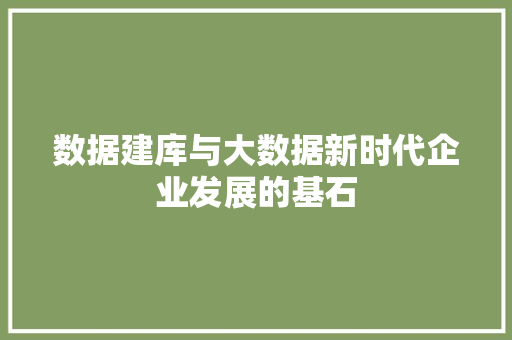 数据建库与大数据新时代企业发展的基石