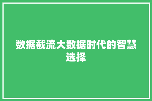 数据截流大数据时代的智慧选择
