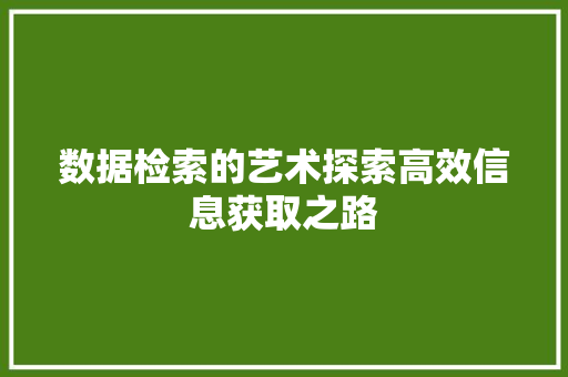 数据检索的艺术探索高效信息获取之路