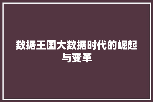 数据王国大数据时代的崛起与变革