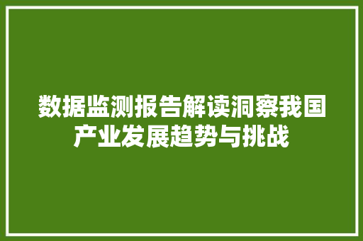 数据监测报告解读洞察我国产业发展趋势与挑战