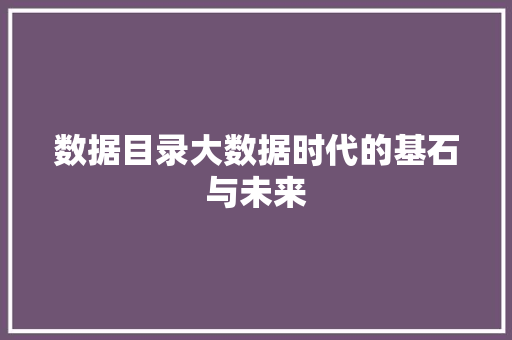 数据目录大数据时代的基石与未来
