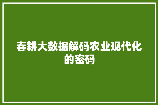 春耕大数据解码农业现代化的密码