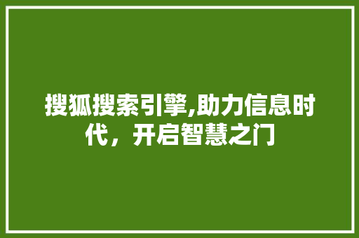 搜狐搜索引擎,助力信息时代，开启智慧之门