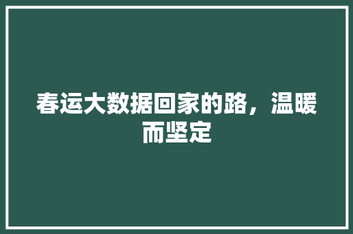 春运大数据回家的路，温暖而坚定