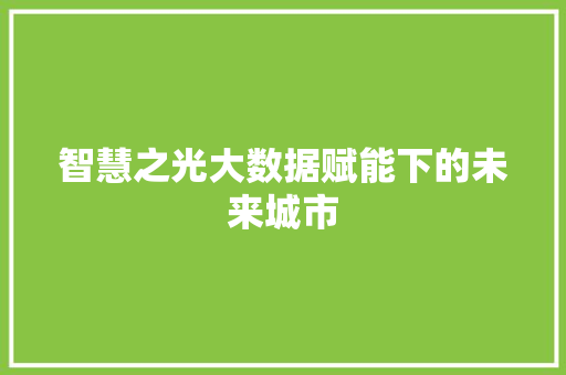 智慧之光大数据赋能下的未来城市