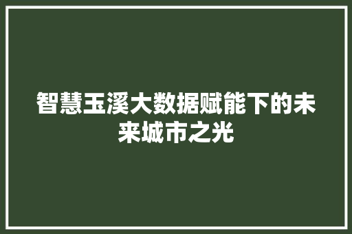智慧玉溪大数据赋能下的未来城市之光