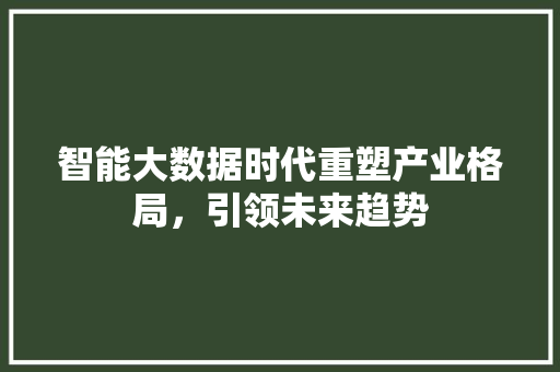 智能大数据时代重塑产业格局，引领未来趋势