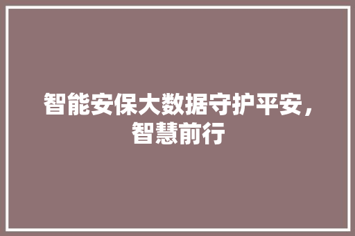 智能安保大数据守护平安，智慧前行