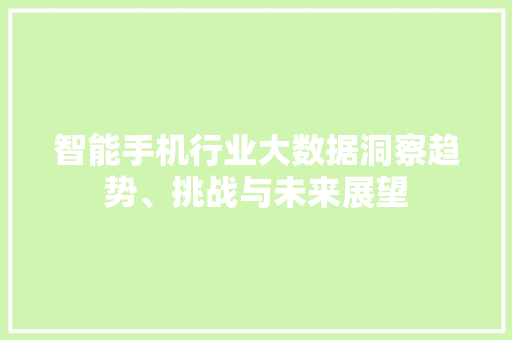 智能手机行业大数据洞察趋势、挑战与未来展望
