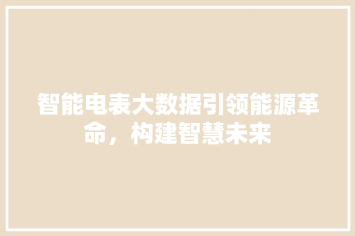 智能电表大数据引领能源革命，构建智慧未来