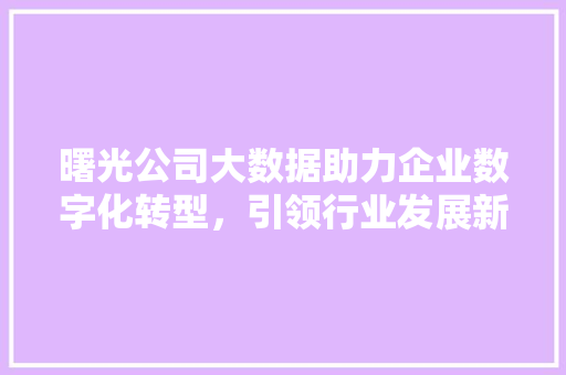 曙光公司大数据助力企业数字化转型，引领行业发展新潮流