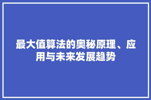 最大值算法的奥秘原理、应用与未来发展趋势